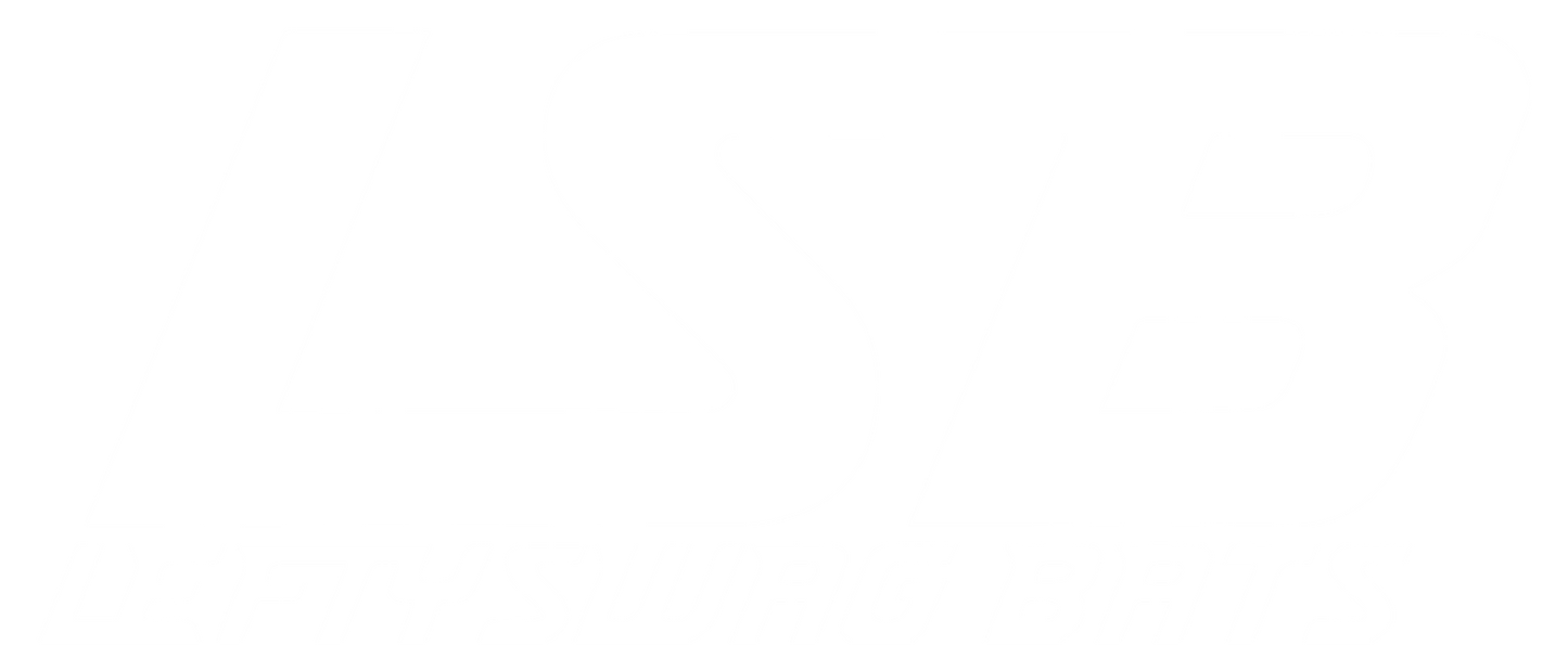 LeftySwag Bats